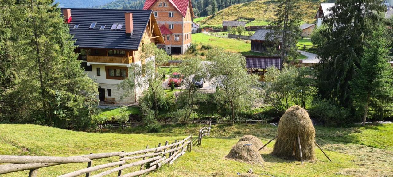 Arnica Montana Otel Arieşeni Dış mekan fotoğraf