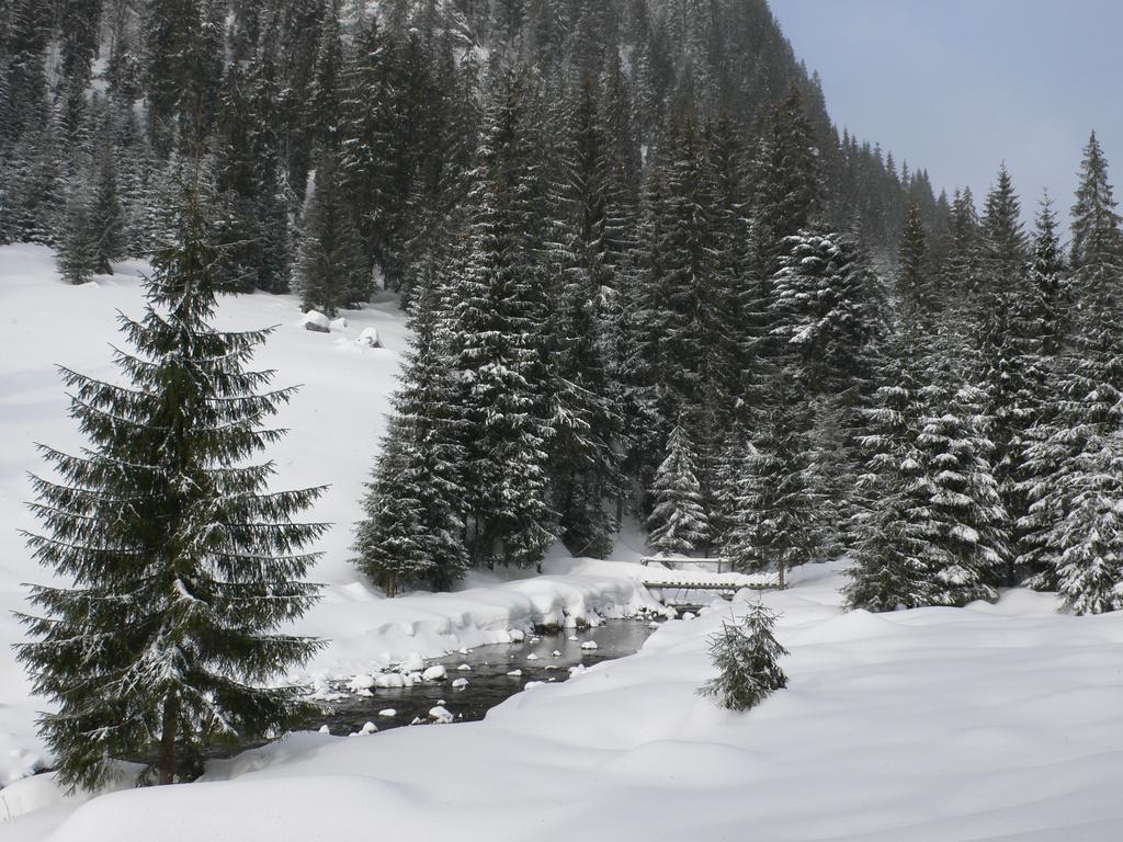 Arnica Montana Otel Arieşeni Dış mekan fotoğraf