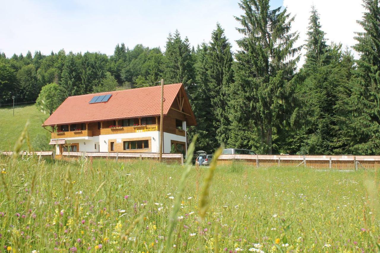 Arnica Montana Otel Arieşeni Dış mekan fotoğraf