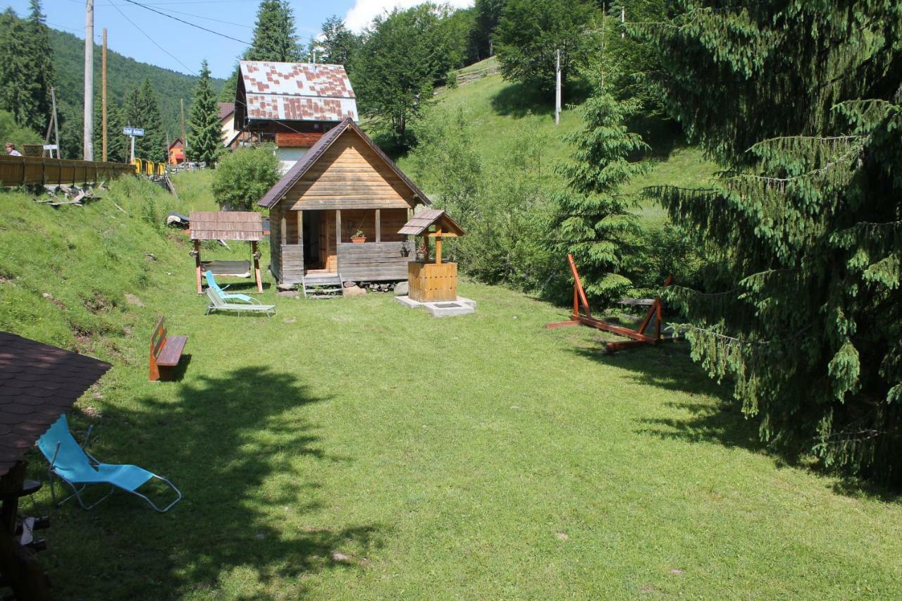 Arnica Montana Otel Arieşeni Dış mekan fotoğraf