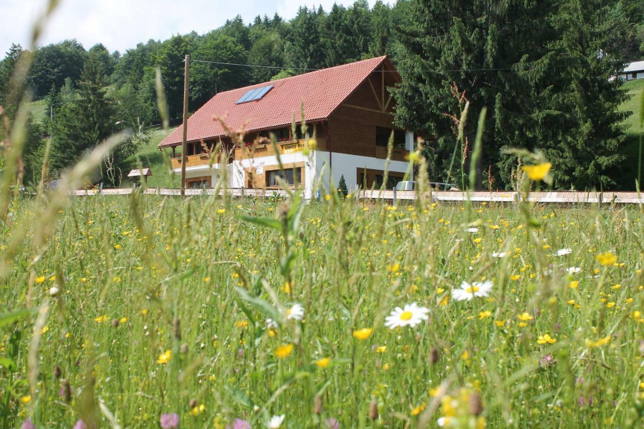 Arnica Montana Otel Arieşeni Dış mekan fotoğraf