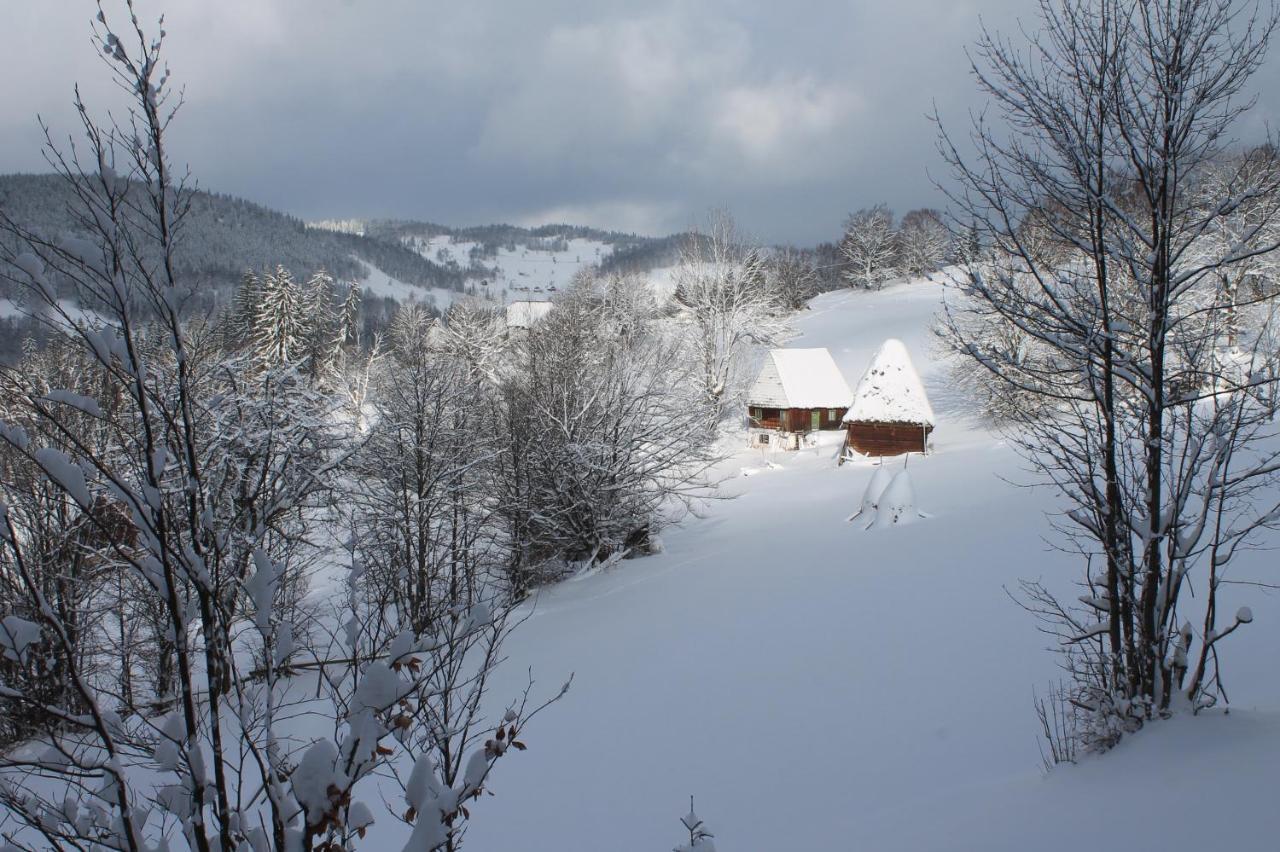 Arnica Montana Otel Arieşeni Dış mekan fotoğraf