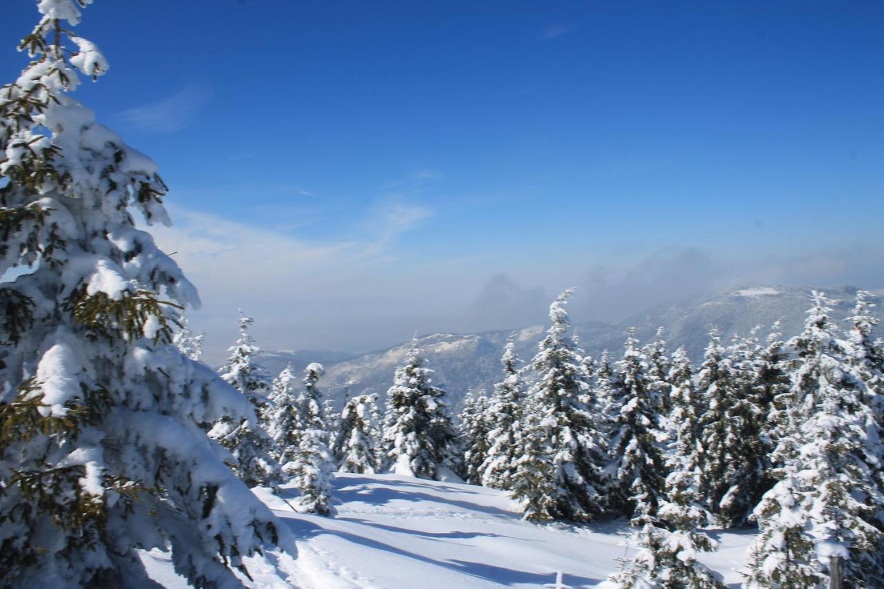 Arnica Montana Otel Arieşeni Dış mekan fotoğraf