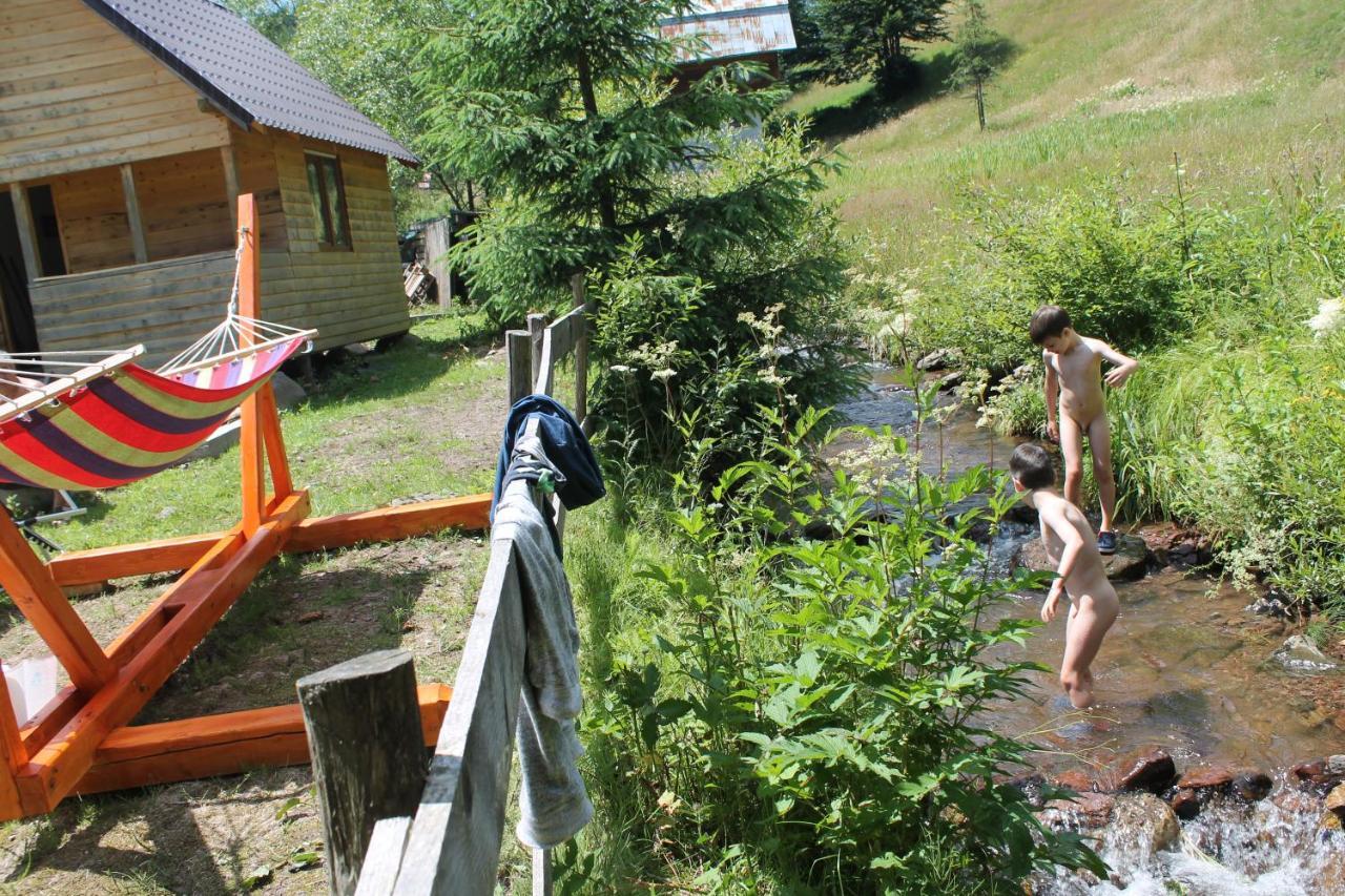 Arnica Montana Otel Arieşeni Dış mekan fotoğraf